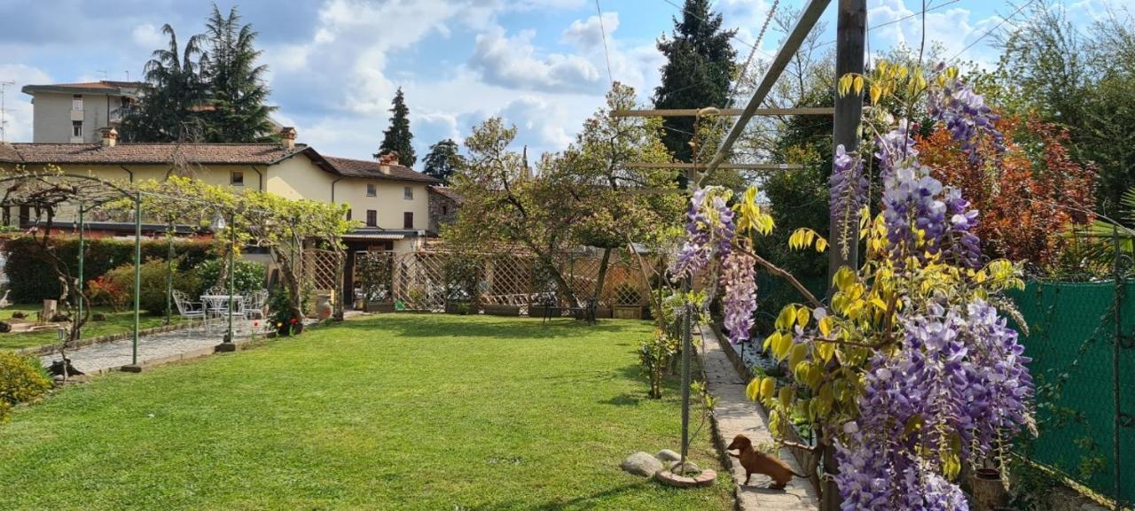 Dragonfly Appartamento Bianca Angera Exterior photo
